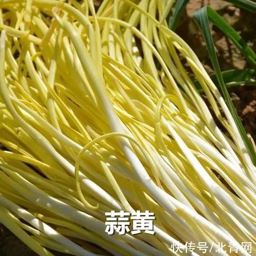 杀菌|餐桌上的“天然杀菌菜”，5块钱一大把！杀菌、降脂、防感冒，常吃增强抵抗力