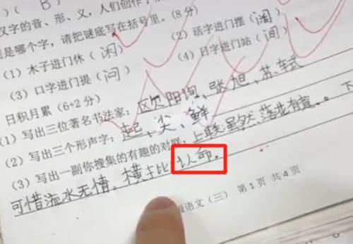 “蝙蝠身上插鸡毛，算什么鸟”小学生写歇后语火了，老师哭笑不得