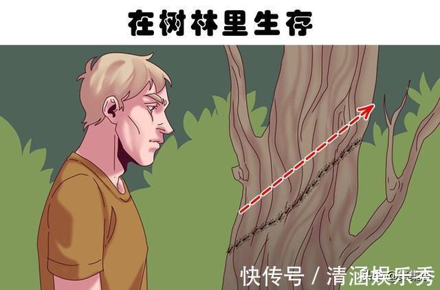 野生动物|在9种罕见的极端情况下，可以挽救生命的提示和技巧