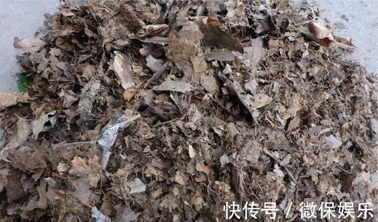 这花好奇怪,花只绽开一半,香味却散到十里外!