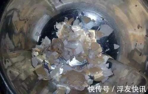 茉莉花最爱3种“肥料”，家中就有，浇一点，花大芳香、开爆盆！