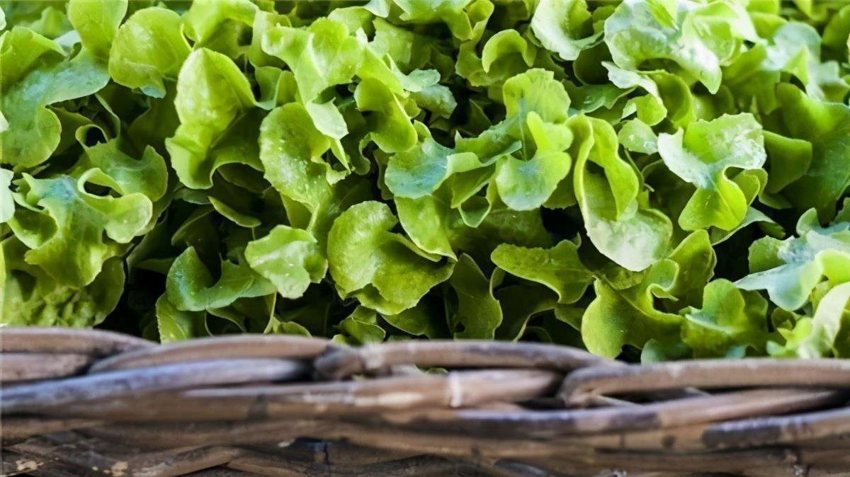 想长寿要会吃,推荐3种食物,降压减脂,疏通血管,好处多多