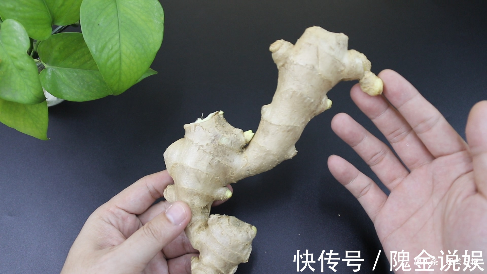 这样的生姜不能买，还好菜贩子告知，早知早受益