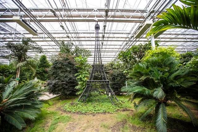 又一打卡地!快来长春农博园赏美景、购好物