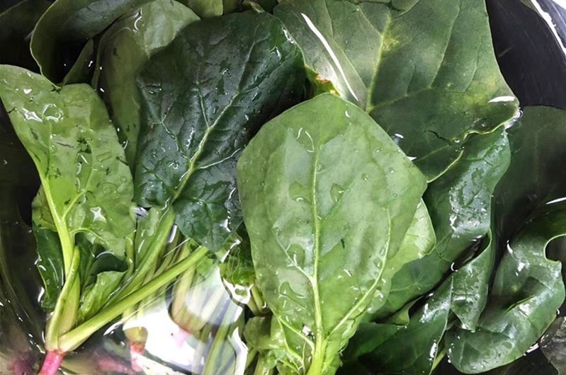 买菠菜时,要分清“尖叶”和“圆叶”,区别挺大,买错了不好吃