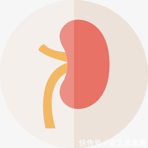 阿胶|如何调理好脾 才能让自己不老的快?