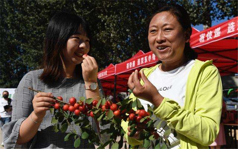 水果|钙含量为水果之最，被称作“钙果”，老人孩子可多吃，如今正当季