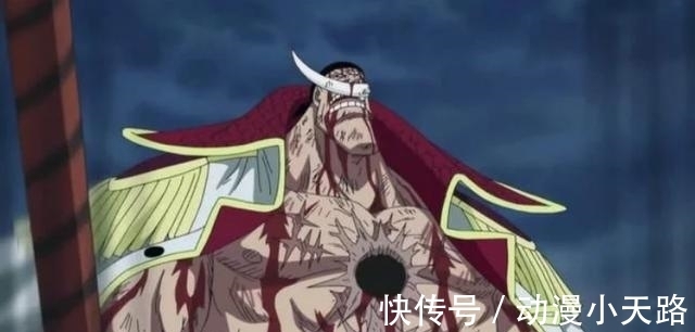 萨奇|海贼王:被尾田强行"杀死"四大配角!白胡子:原来我的儿子全是内鬼?
