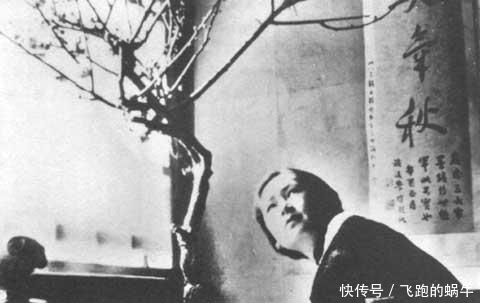 钱钟书为何讨厌邻居林徽因?曾频繁找她麻烦,杨绛都拦不住