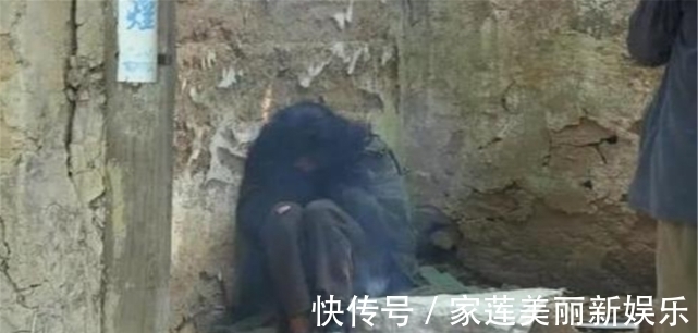 杨锁|中国第一懒人杨锁:从小到大不干活,父母去世后在23岁饿死家中