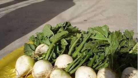 长寿|长寿的人,晨起都有这五个好习惯,占得越多,越容易长寿