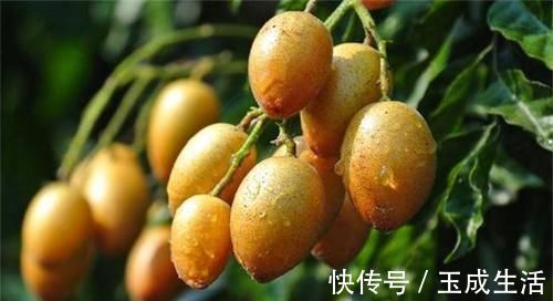 润肠排|想长寿要会吃，多吃3种食物，润肠排毒，美容养颜，滋养子宫