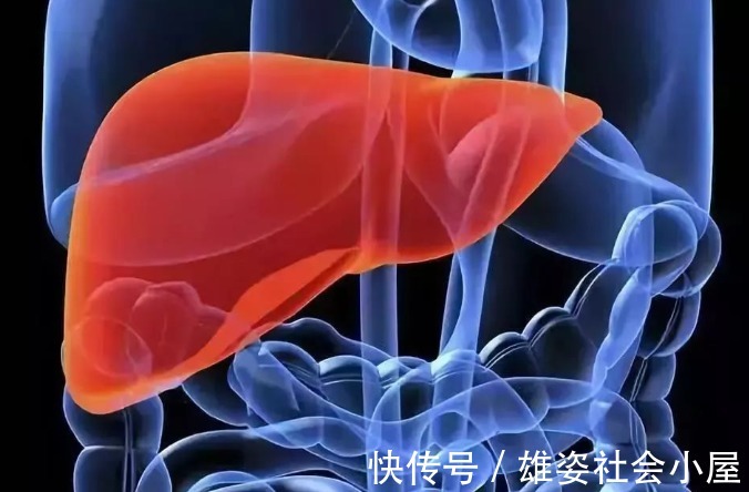 脱发|若头部有这4种迹象,很不幸地告诉你:肝脏已经发出最后的警告了