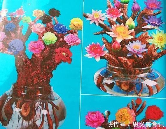 花卉|悄悄告诉你，网购花卉，见到“4种花”离远点，谁也养不活