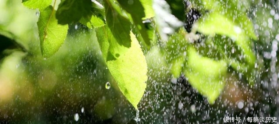 低估|杨万里这首诗美得令人惊艳,但很显然被低估了,也是难得的佳作