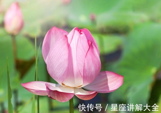 财源|未来10天，4属相运势旺盛，桃花朵朵，财源广进，生活美满