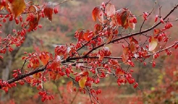 做人,不可好高骛远,更不可小看自己