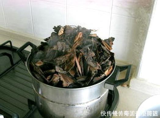 出门捡4种东西，养花垫盆底，营养土不用买，疏松透气、不烂根