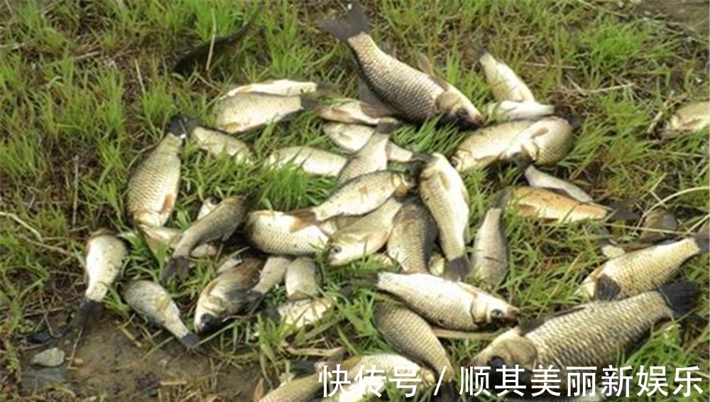 调漂|钓鱼技巧:拉饵散炮聚鱼快速,野钓还是黑坑,调漂不是一个路数!