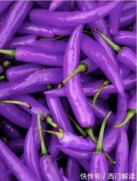 你绝对没见过的奇特的瓜果蔬菜!大开眼界!