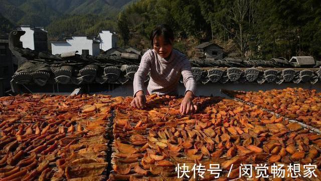 在家自制红薯干，教你1招，好吃又解馋，蒸的不上火