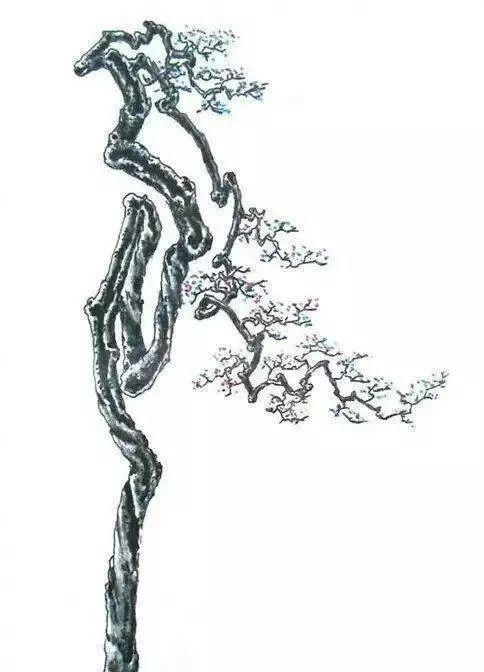 韵味|值得收藏的盆景设计图,别有韵味