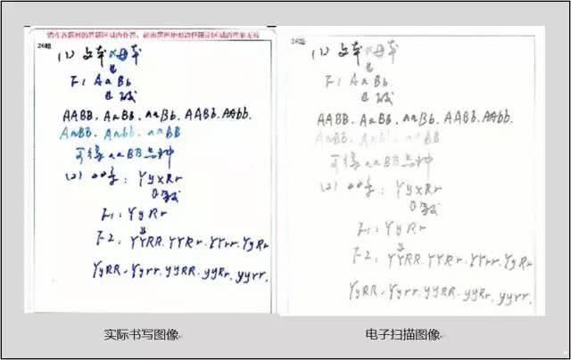 阅卷|高考电脑阅卷现场照片曝光卷子写成这样，对了也不得分