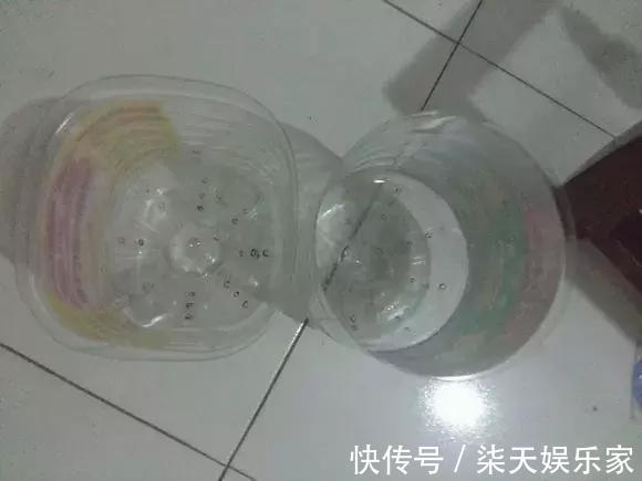 花友|养花不成“改种菜”，红辣椒种在“编织袋”里，一次能摘30斤