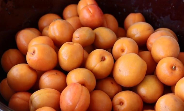 教你在家做杏干，1次买了50斤杏子制作，酸甜好吃有嚼劲，特简单