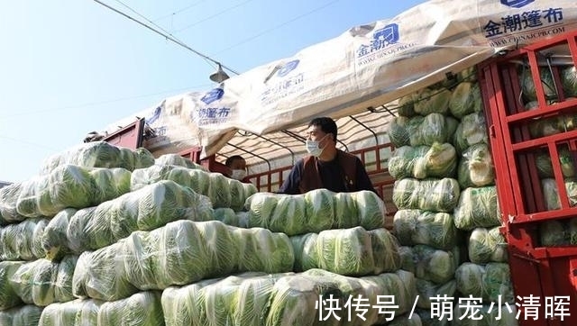 羊肉论斤吃,大葱按捆卖,白菜卡车装,带你瞧瞧啥才叫南北差异