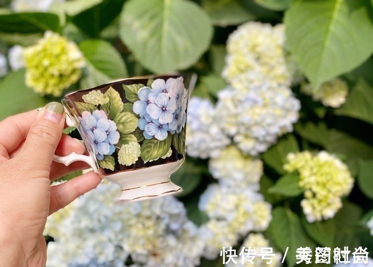 无尽夏|庭院改造：50㎡的下沉式庭院造花园，有地我也建一个，太好看了！