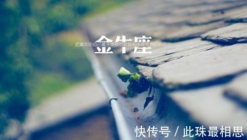 财运|下半年的锦鲤之王 运势好到令人眼红的星座