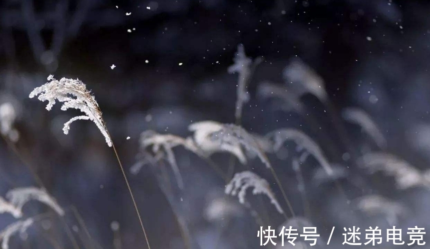 芳蕤&「诗词鉴赏」一年最冷三九天,十首有关三九的诗词,愿你一冬平安