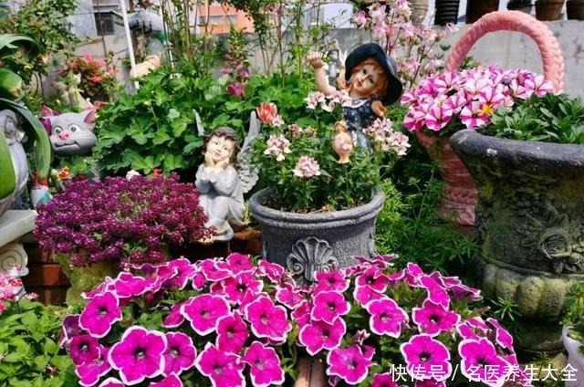 大叔的花园,亮点多多,惊艳了我,难怪大家都夸他太有生活情调了!