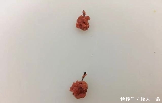 饵料|饵料里面加把米,诱鱼留鱼两不误,这一招在野钓百试不爽