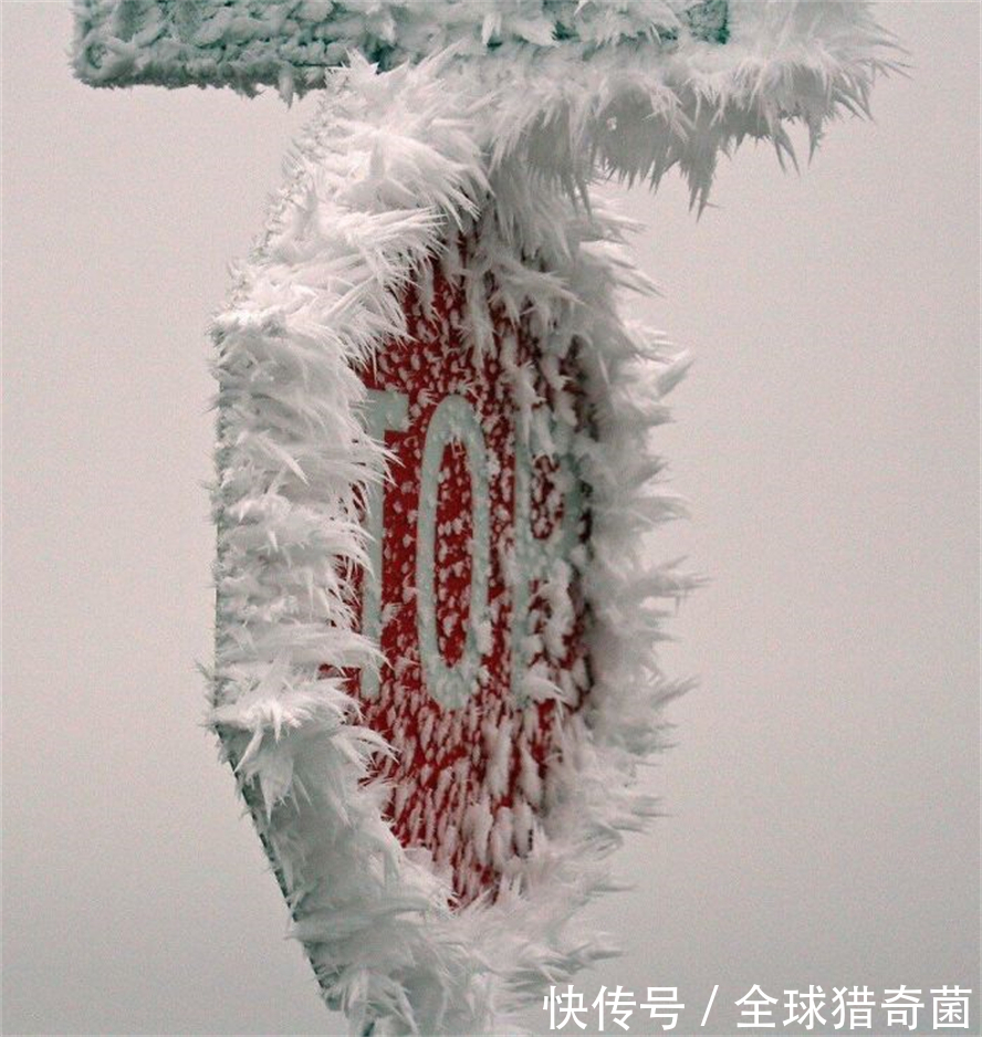 摄影|35张“活久见”的完美图片,强迫症瞬间被治愈了