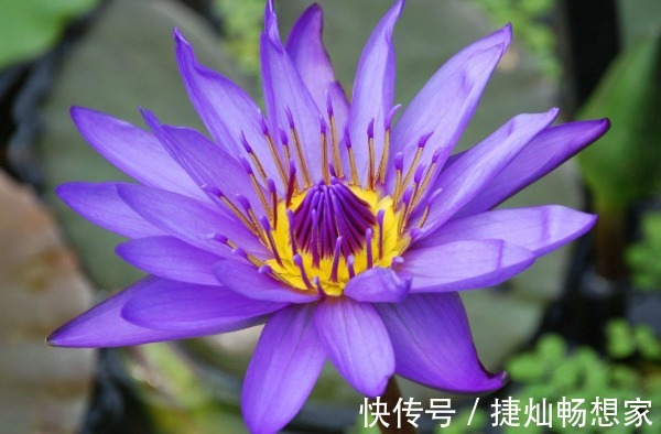 长寿!俗话说人在做,天在看,多做4件积德事,晚年必将长寿又多福!