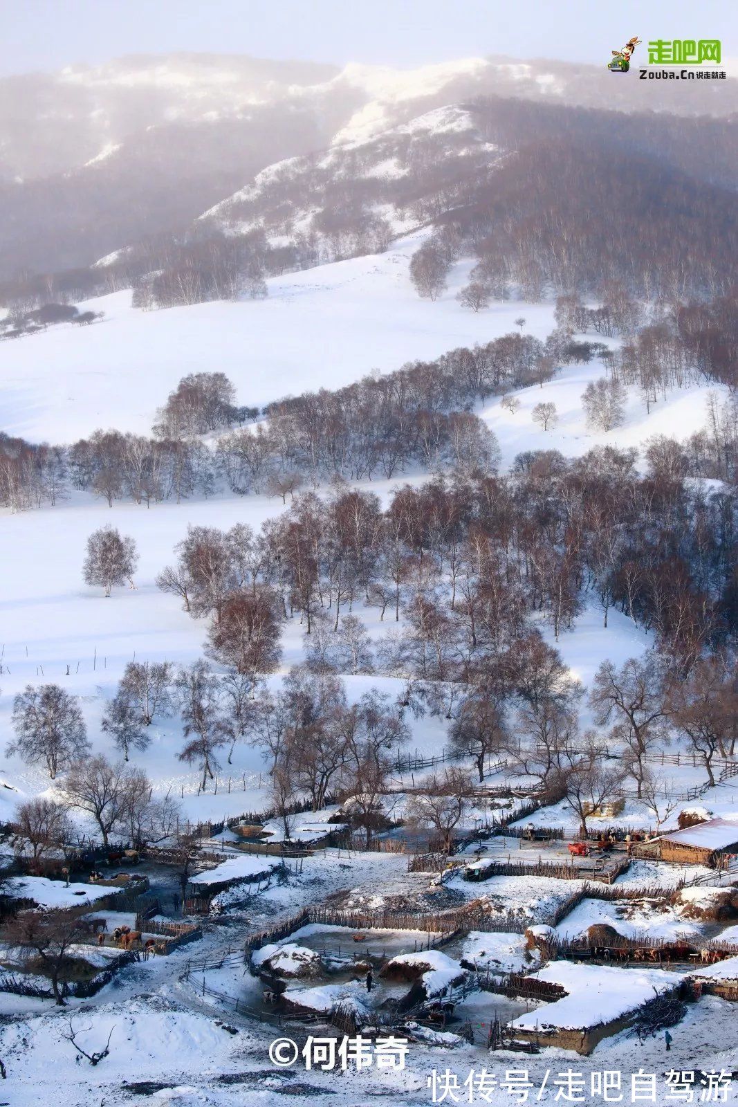 自驾|北上看雪，南下看花，这12个地方承包年末旅行