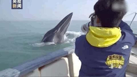 好大一张嘴！主持人被震惊到语无伦次……