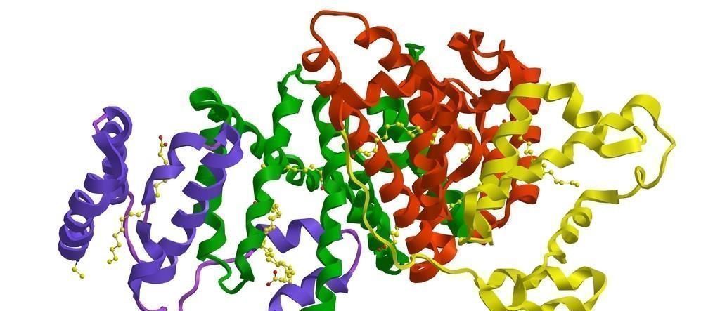 间接胆红素|体检时三个指标很正常，恭喜你，肝脏很健康，真正达标的人，不多