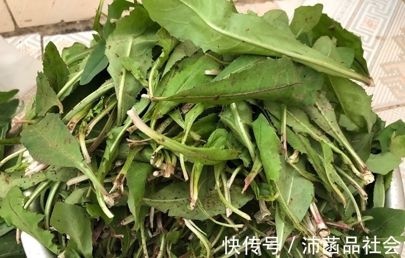 杀菌消炎|天然“青霉素”被找到，隔三岔五吃，杀菌消炎防感冒，别不懂吃