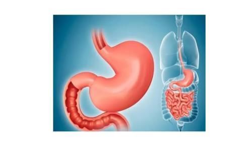 胃病|胃病“三分治，七分养”，经常吃这3种食物，修复胃黏膜还暖胃