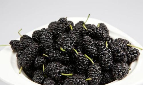 桑葚|适合秋天吃的4种食物，排毒养颜、滋补身体，好处多多