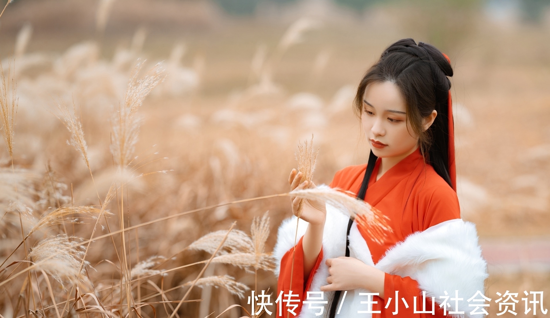 巫山!七律·九首丨生来不入巫山梦,沧海曾经第几峰?