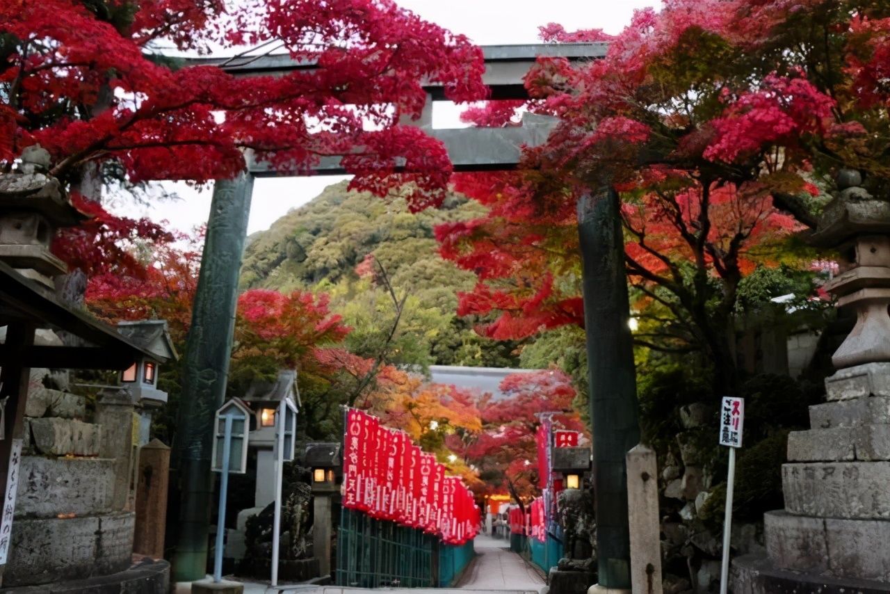 朝圣之路|日本民宿的另类玩法：寺院里的宿坊