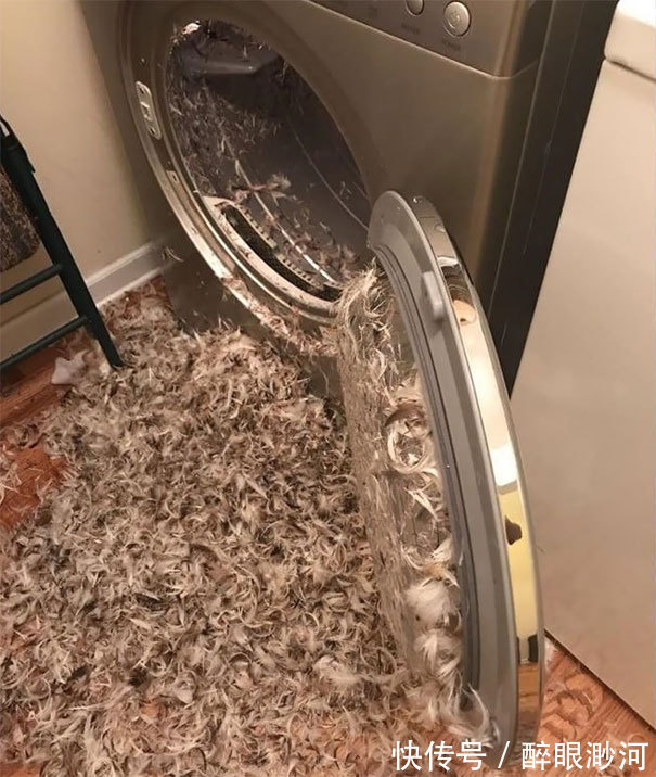 |盘点人们遇到的那些既倒霉又搞笑的时刻,看完不厚道地笑了