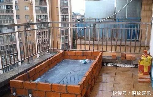 邻居竟在楼顶搭建一个菜园,真让人哭笑不得,这菜能吃吗