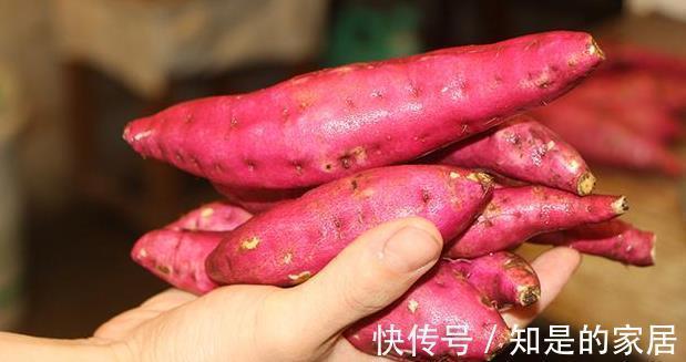 糖尿病患者|糖尿病患者吃红薯,他们会提高血糖,还是会降低血糖?马上告诉你