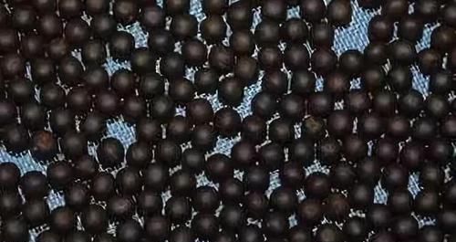 中年|脾虚比肾虚严重脾虚才湿气重去湿气最好的中成药你知道几个