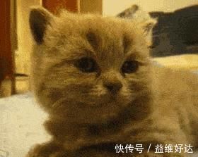 治疗方式|不是所有的“睡不戳”都叫失眠!想睡个好觉,先试试这么做